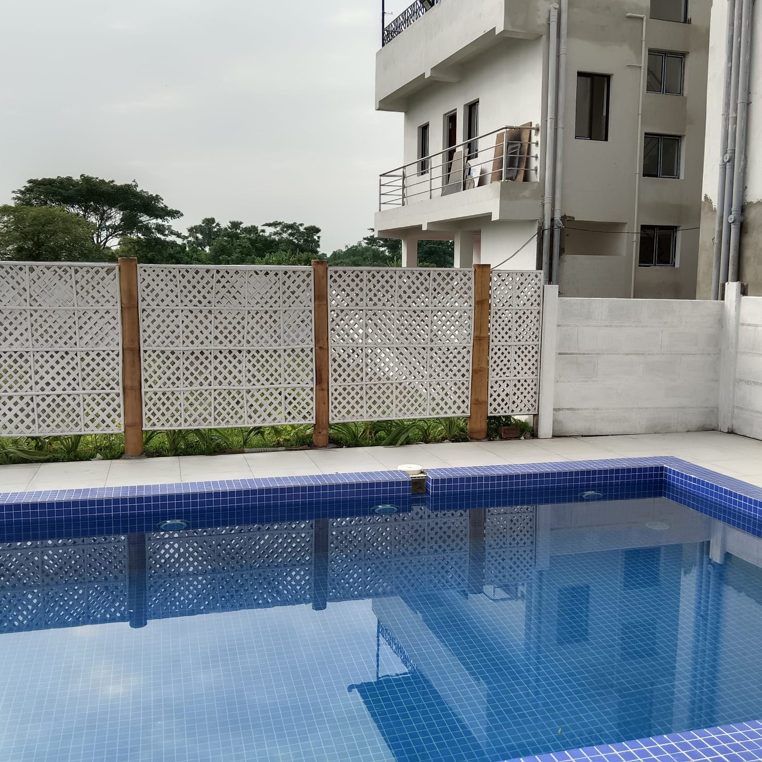 Pool finished with bamboo fencing and plantings